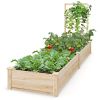 Raised Garden Bed with Planter Box and Trellis